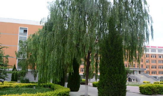 西北師范大學(xué)知行學(xué)院