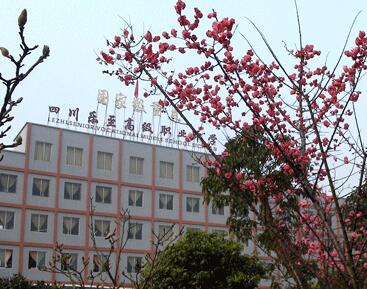 樂(lè)至縣高級(jí)職業(yè)中學(xué)2020年招生簡(jiǎn)章_樂(lè)至縣高級(jí)職業(yè)中學(xué)怎么樣?