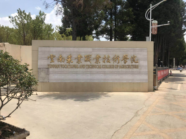 云南農(nóng)業(yè)職業(yè)技術(shù)學(xué)院2020年五年一貫制大專招生簡(jiǎn)章
