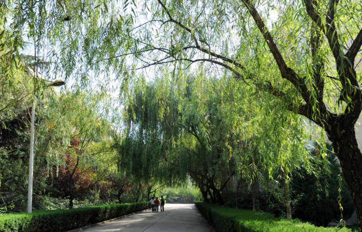 天水師范學院