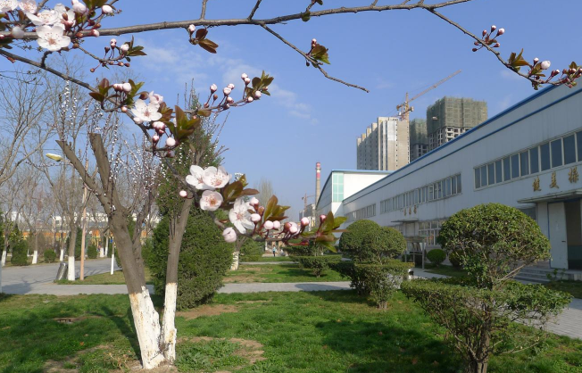 天水師范學(xué)院