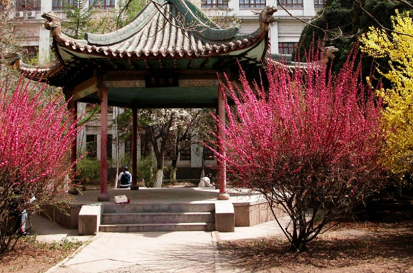 蘭州大學(xué)醫(yī)學(xué)院