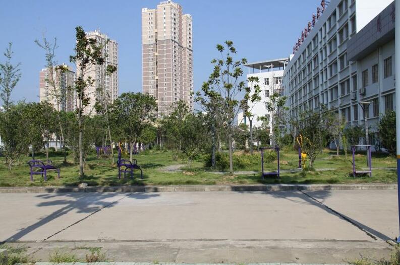 安陸市中等職業(yè)技術(shù)學(xué)校招生條件、招生對(duì)象、招生分?jǐn)?shù)
