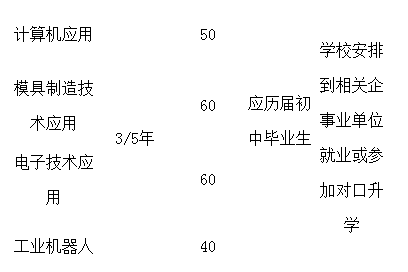 麻城理工學(xué)校部分招生專業(yè)