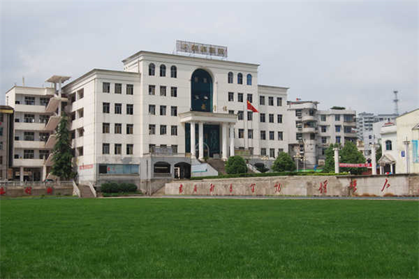 麻城市宋埠職業(yè)高級中學環(huán)境圖