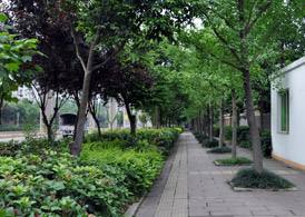 老河口職業(yè)技術(shù)學(xué)校招生條件、招生對(duì)象、招生分?jǐn)?shù)