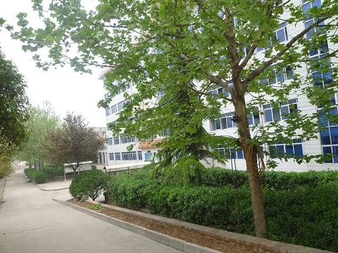 西安幼兒師范職業(yè)學校