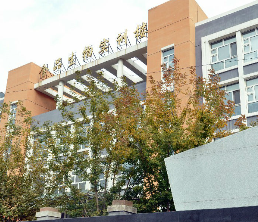 哈爾濱輕工業(yè)學(xué)校環(huán)境、學(xué)校圖片