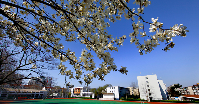 山東省濟寧衛(wèi)生學校