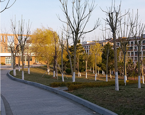 聊城市衛(wèi)生職工中等專業(yè)學(xué)校