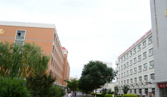 西北師范大學知行學院
