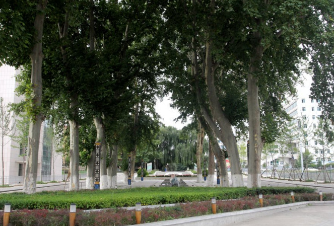 甘肅林業(yè)職業(yè)技術(shù)學院
