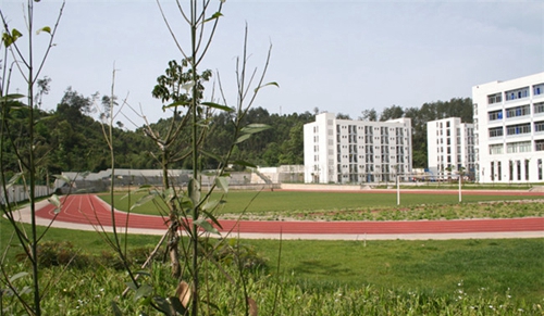 四川省蒲江縣職業(yè)中學足球場