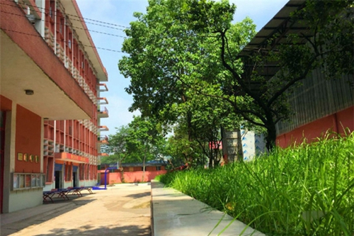 宜賓翠屏電子職業(yè)技術(shù)學(xué)校圖片、照片