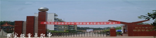 宜賓縣柳嘉職業(yè)技術(shù)學(xué)校圖片、照片