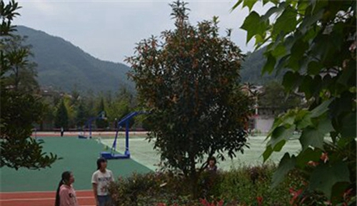 萬(wàn)源市黃鐘職業(yè)中學(xué)校圖片、照片