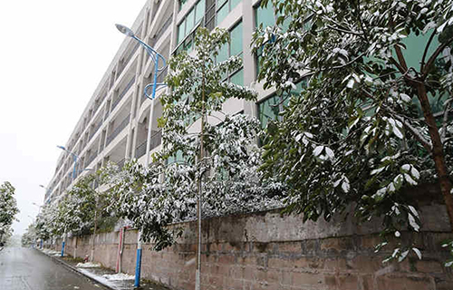 重慶市榮昌區(qū)職業(yè)教育中心圖片、照片