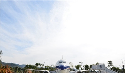 成都金堂航空學校波音飛機實訓圖片