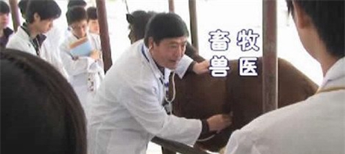 貴州省畜牧獸醫(yī)學(xué)校獸醫(yī)專業(yè)