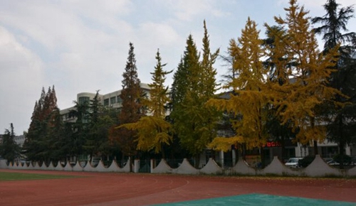成都技師學院南校區(qū)（崇州技師學院）蜀州路校區(qū)塑膠跑道