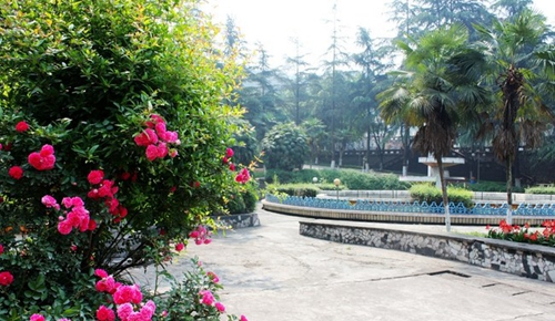 樂山市醫(yī)藥科技學(xué)校春暖花開