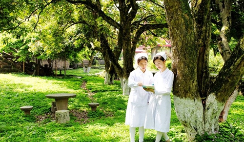 樂山市醫(yī)藥科技學(xué)校校園綠化