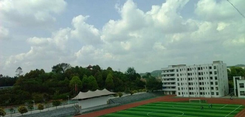 宜賓縣柳嘉職業(yè)技術(shù)學(xué)校(柳嘉職業(yè)中學(xué))塑膠足球場