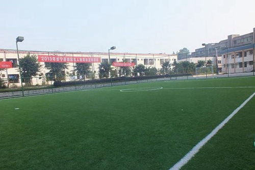 宜賓上寧縣職業(yè)高級(jí)中學(xué)校（長寧縣職業(yè)技術(shù)學(xué)校）塑膠足球場