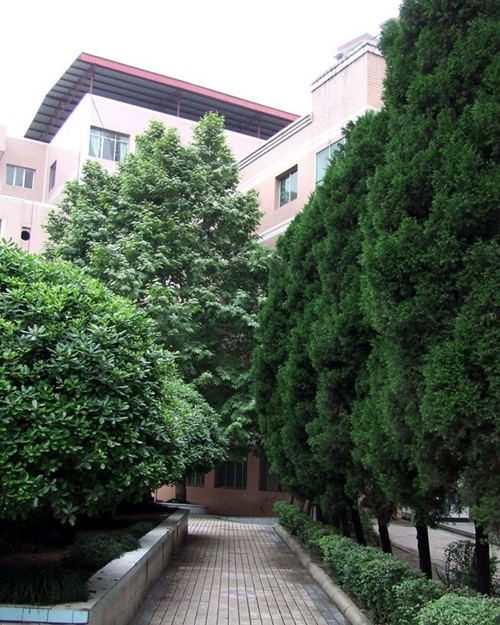 四川省達(dá)縣職業(yè)高級(jí)中學(xué)(達(dá)川區(qū)職高)校園綠化