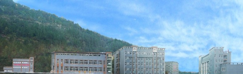 平昌通用職業(yè)技術(shù)學(xué)校塑膠運(yùn)動場