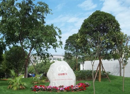 成都汽車職業(yè)技術(shù)學(xué)校（龍泉汽車學(xué)校）校園小草坪