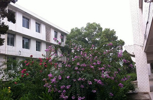 榮縣樂(lè)德職業(yè)中學(xué)?；▓@一角