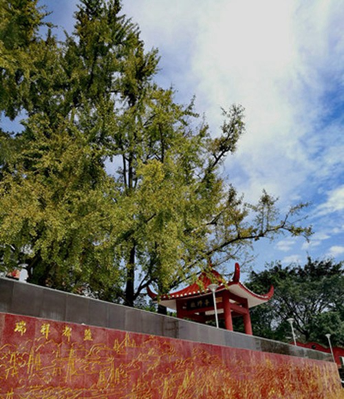 四川省鹽業(yè)學(xué)校校園風(fēng)光