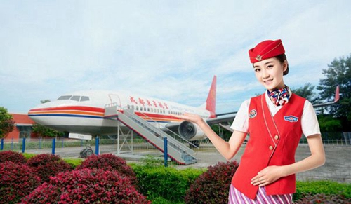 成都東星航空旅游專修學(xué)院實體教學(xué)飛機
