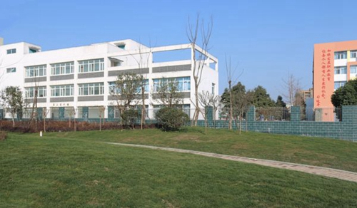 崇州職業(yè)教育培訓中心草地