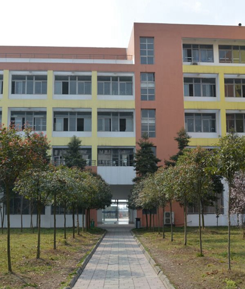 崇州職業(yè)教育培訓中心校園小道