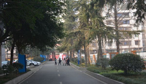 崇州職業(yè)教育培訓中心校園行道