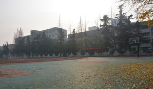 崇州職業(yè)教育培訓中心秋葉靜美