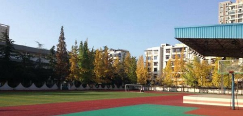 崇州職業(yè)教育培訓中心秋日校園