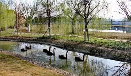 四川省旅游學(xué)校和諧校園