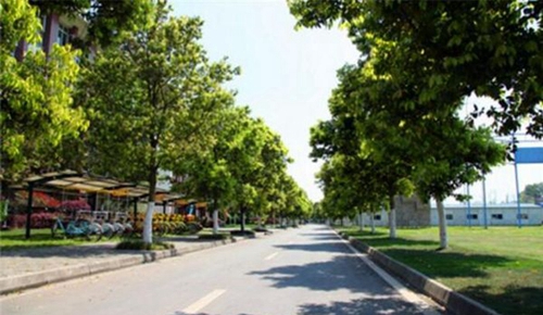 四川省旅游學(xué)校校園景區(qū)道路與游覽車