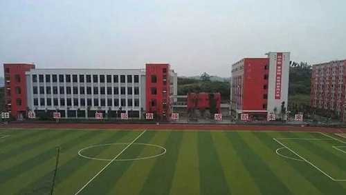 四川省安岳第一職業(yè)技術(shù)學(xué)校(安岳職業(yè)技術(shù)教育中心)足球場(chǎng)