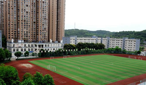 四川省簡陽市高級職業(yè)中學標準足球場