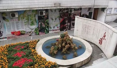 成都市蜀興職業(yè)中學(xué) 花池