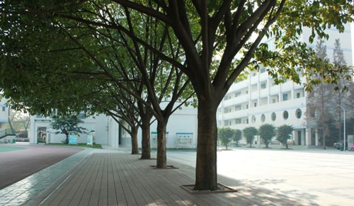成都市洞子口職業(yè)高級中學(xué)校校園環(huán)境