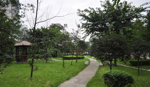 成都市洞子口職業(yè)高級中學(xué)校校園小徑