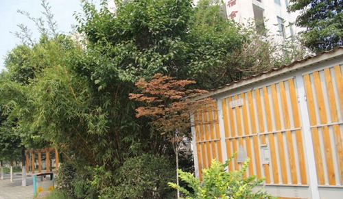 大邑縣技工學校大邑職高夏之花2