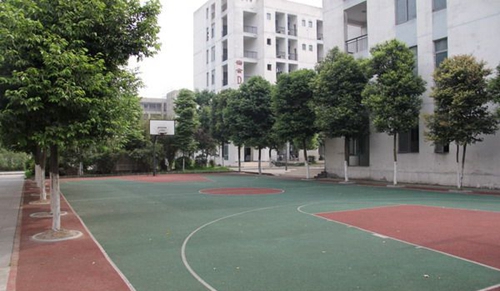 大邑縣技工學?；@球場