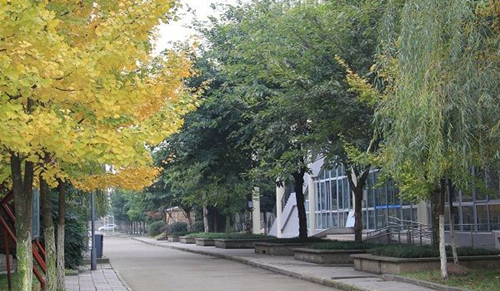 大邑縣技工學校冬日校園