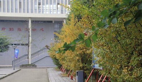 大邑縣技工學校后勤服務中心